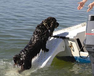 Scamper Ramp, rampa de acceso al barco Scamper Ramp, rampa de acceso al barco