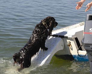 Scamper Ramp, rampa de acceso al barco