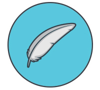 Ligero dolphin 